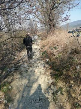 Narin (5)